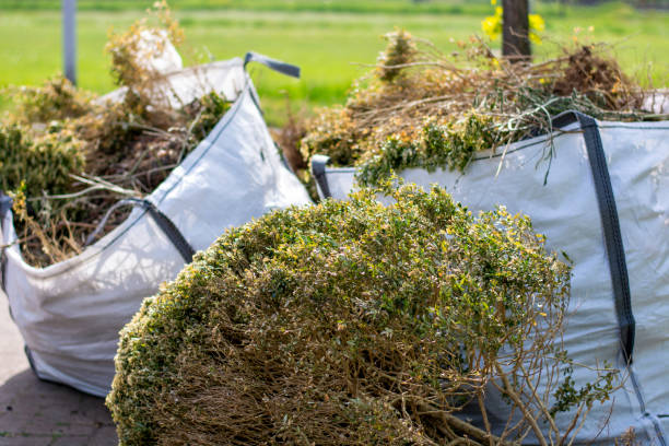 Best Demolition Debris Removal  in Salt Creek Commons, IN